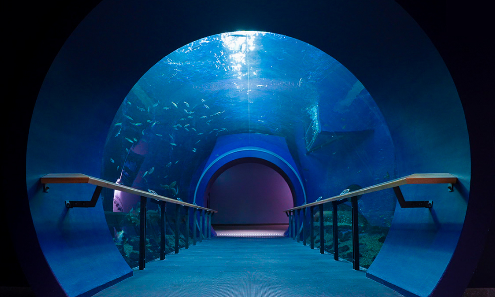 滋賀県立琵琶湖博物館