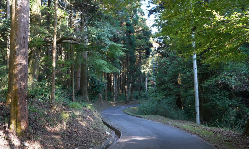 県道47号の林道