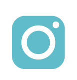 INS